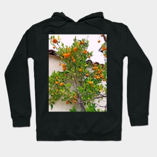 Monterey Flora Study 2 Hoodie